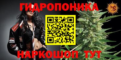 прущие крисы Малоярославец