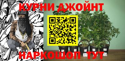 a pvp Малгобек