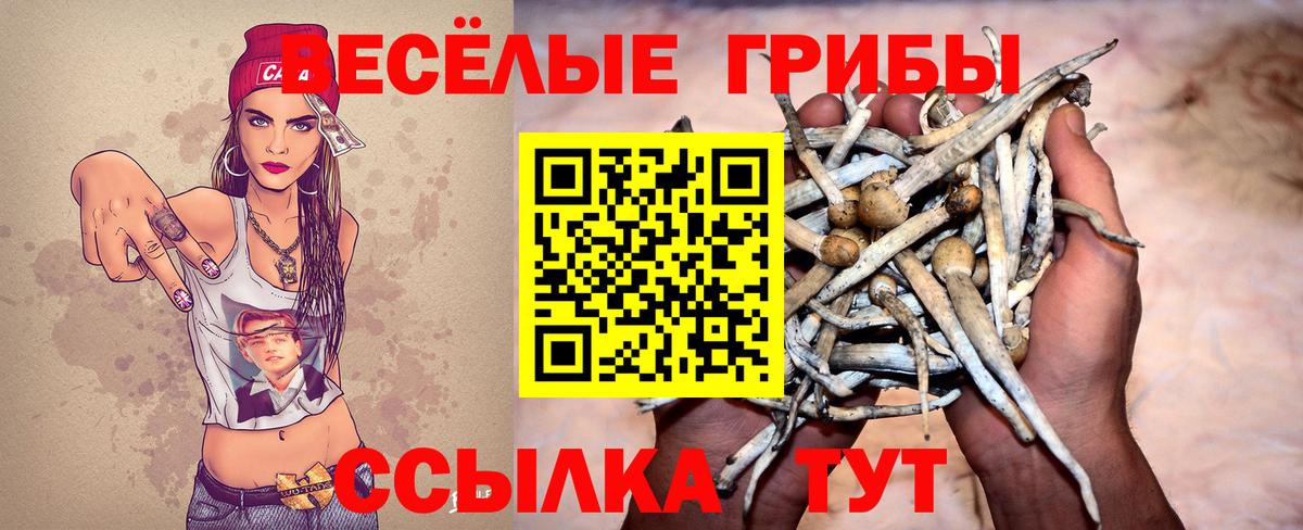купить наркоту  Галлюциногенные грибы Magic Shrooms  Вход с VPN  Электрогорск 