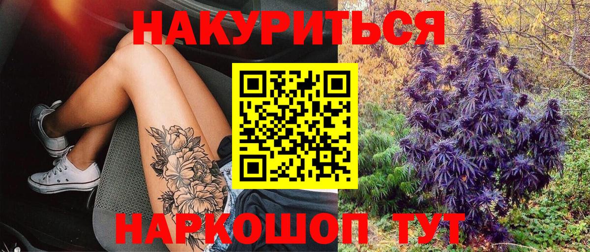 Бошки Шишки ГИДРОПОН  Бошки Шишки гибрид  Вход с VPN  Электрогорск 